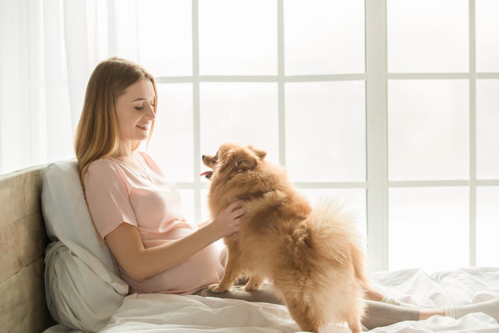 your-dog-may-know-you-re-pregnant-before-you-do-les-littles